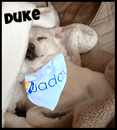 Duke-frame-name.png