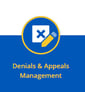 Denials & Appeals Icon 2-1