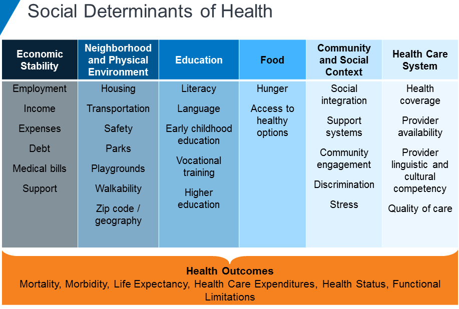 Social Determinants of Health Categories